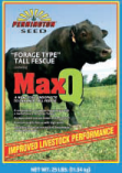 maxQ.jpg
